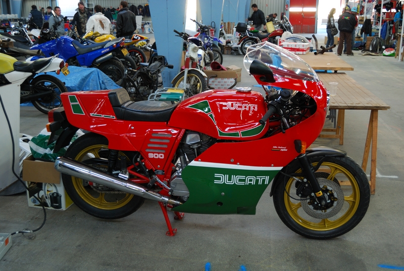 Puce_Niort_2009_021 [800x600].jpg